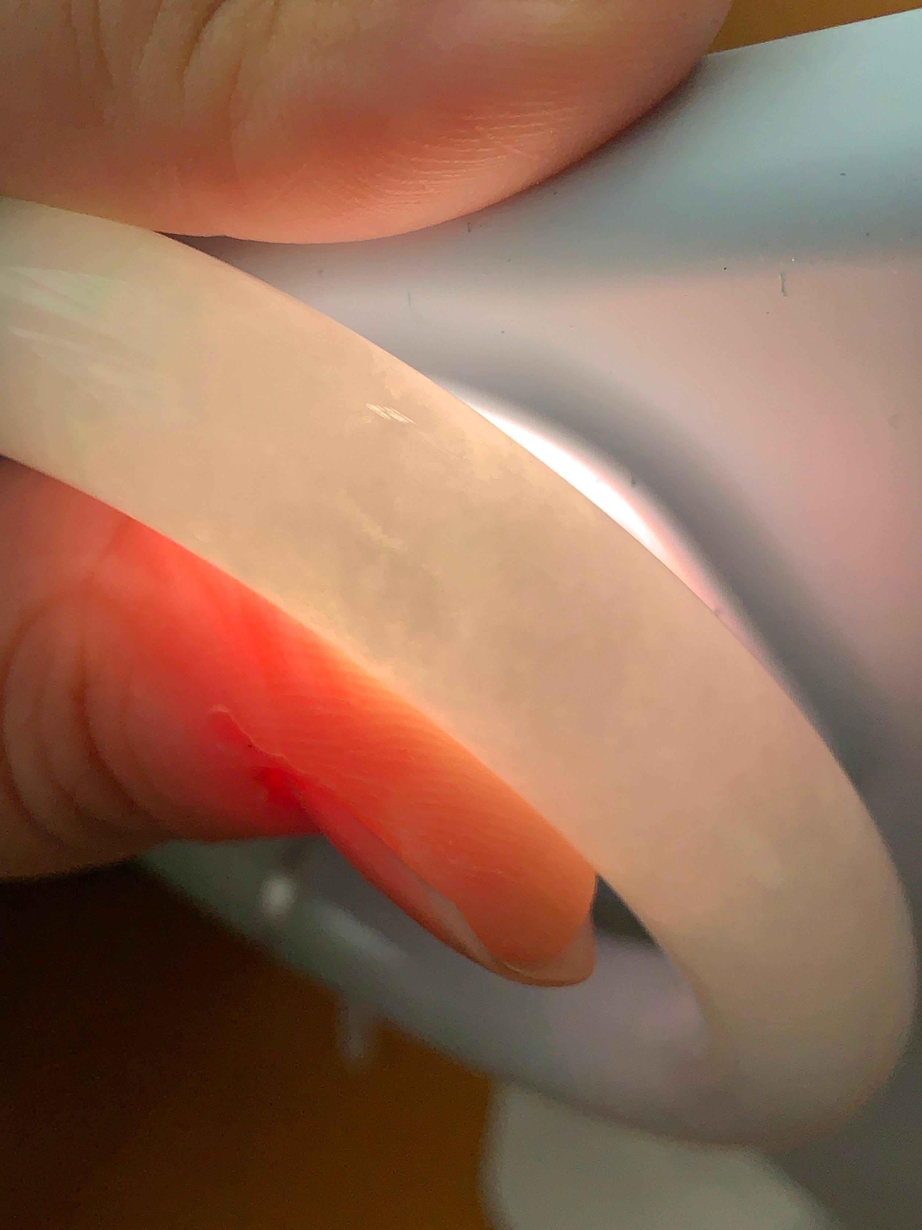 细糯种飘绿圆条手镯（56.8mm）（yc223253）