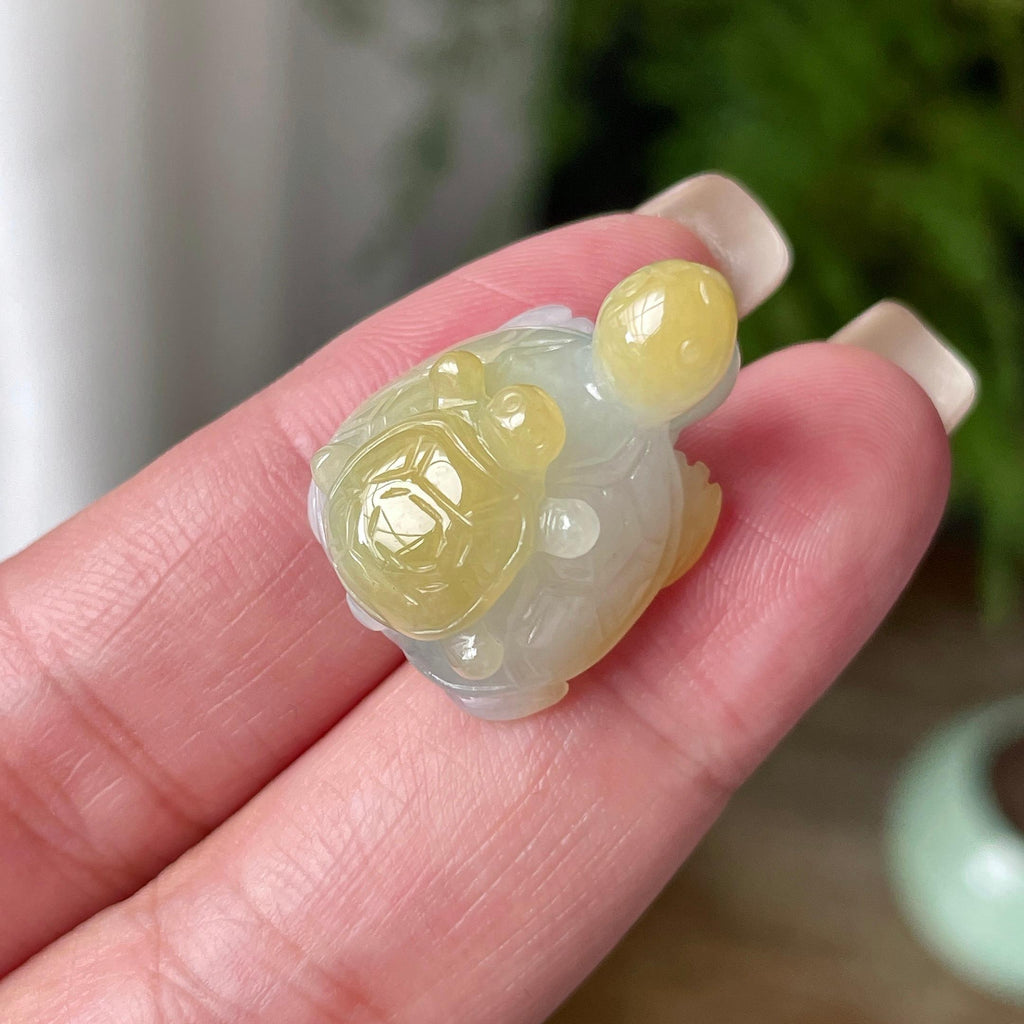 细糯种飘黄翡长寿龟吊坠 天然缅甸A货翡翠（yc469505）