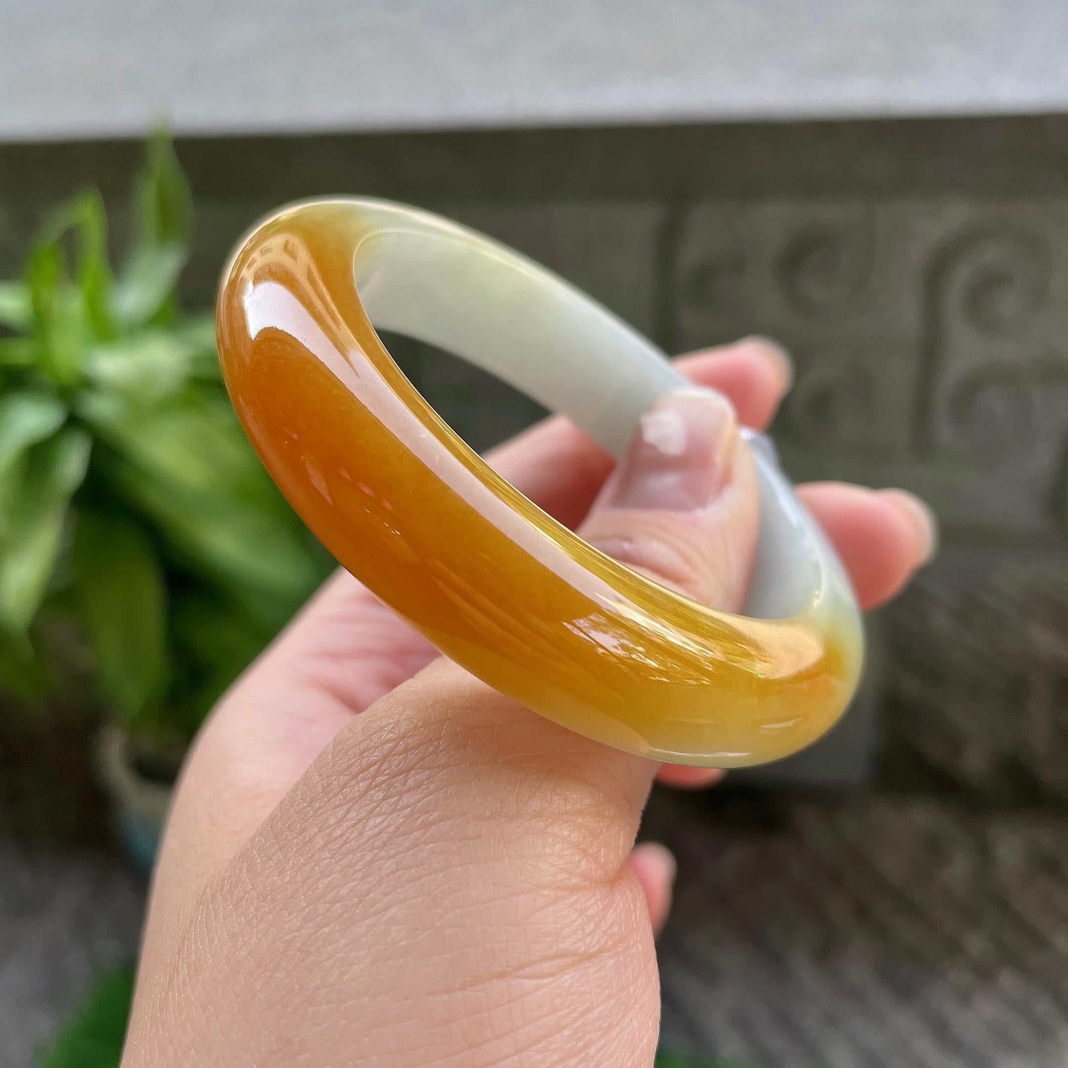 细糯种黄翡平安镯（51mm）（yc310092）