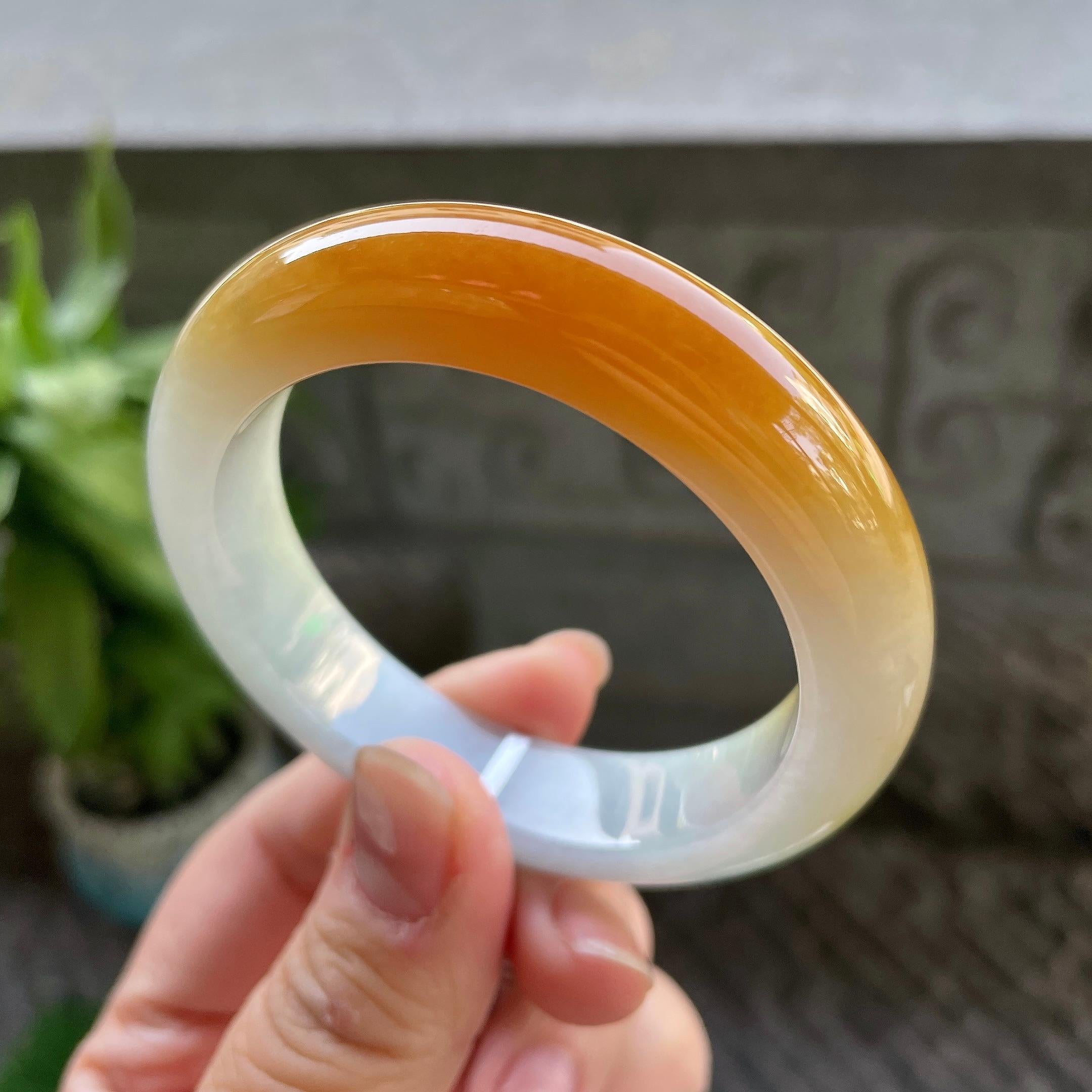 细糯种黄翡平安镯（51mm）（yc310092）