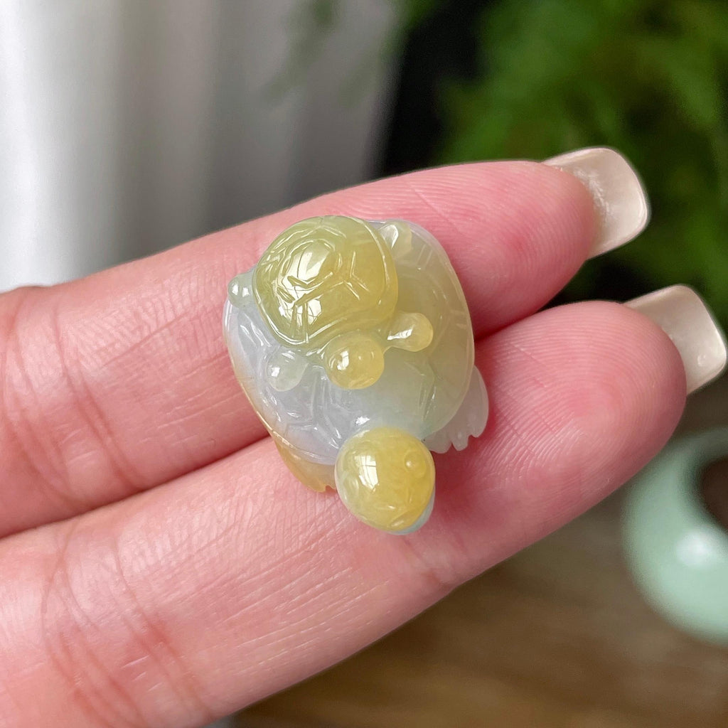 细糯种飘黄翡长寿龟吊坠 天然缅甸A货翡翠（yc469505）