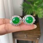 18K金钻镶糯冰种满绿蛋面耳钉（yc248204）