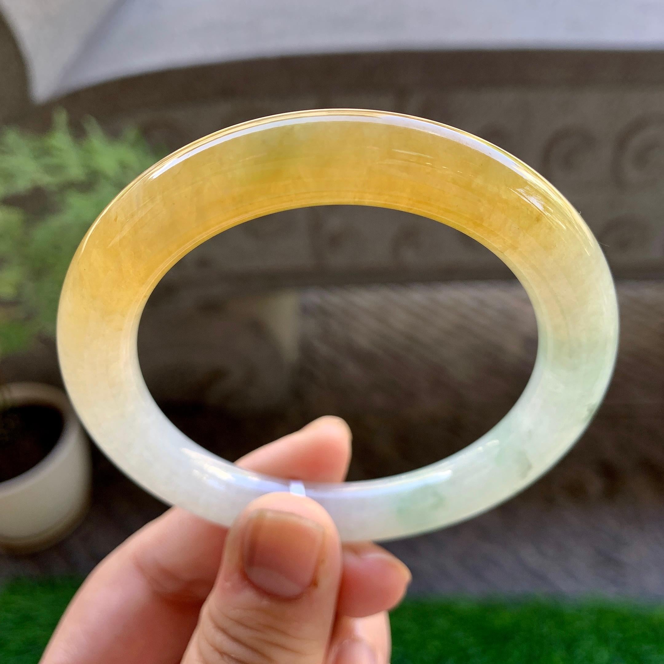 细糯种黄翡圆条手镯（56.2mm）（yc246658）