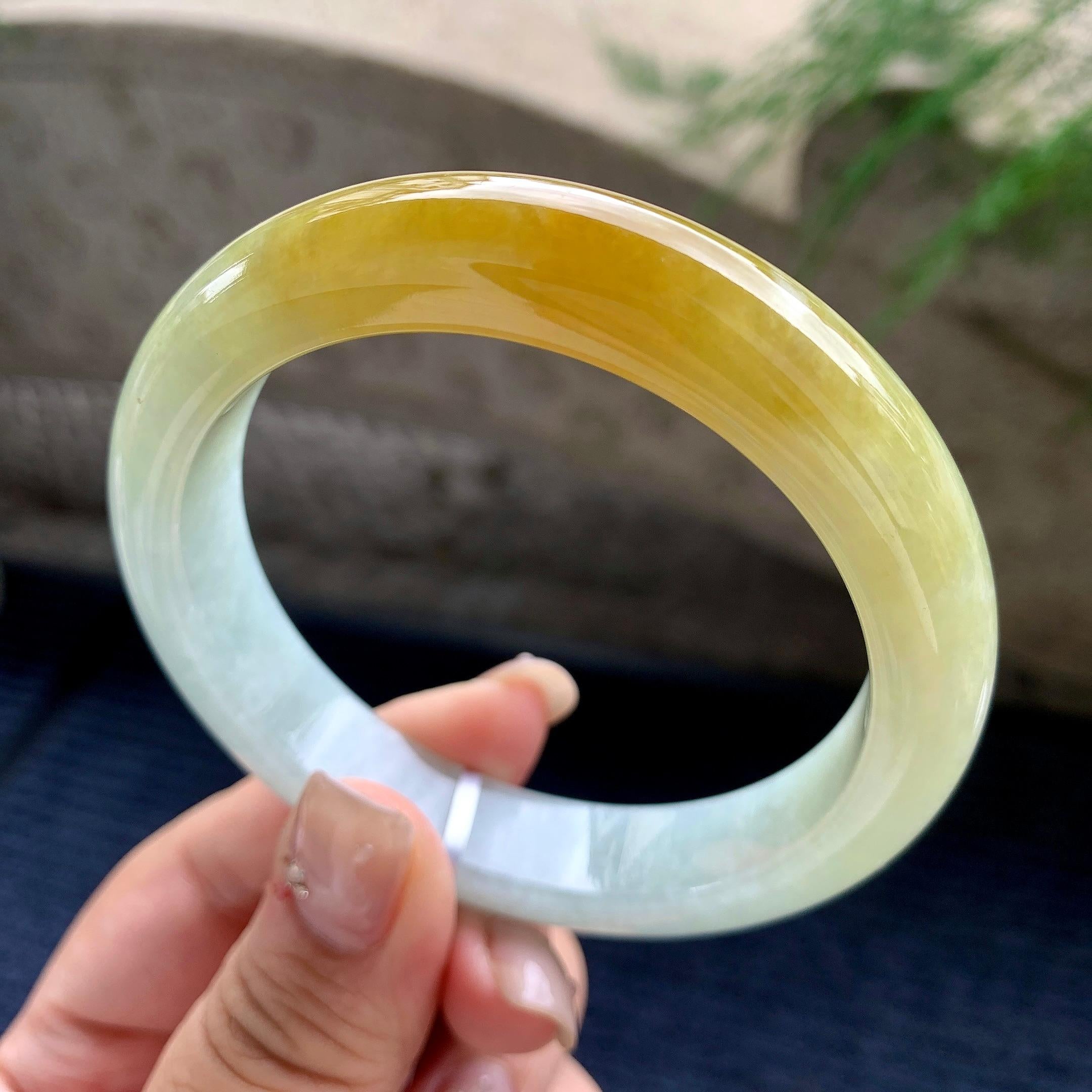 细糯种黄翡正圈平安镯 59圈口 天然缅甸A货翡翠（yc464088）