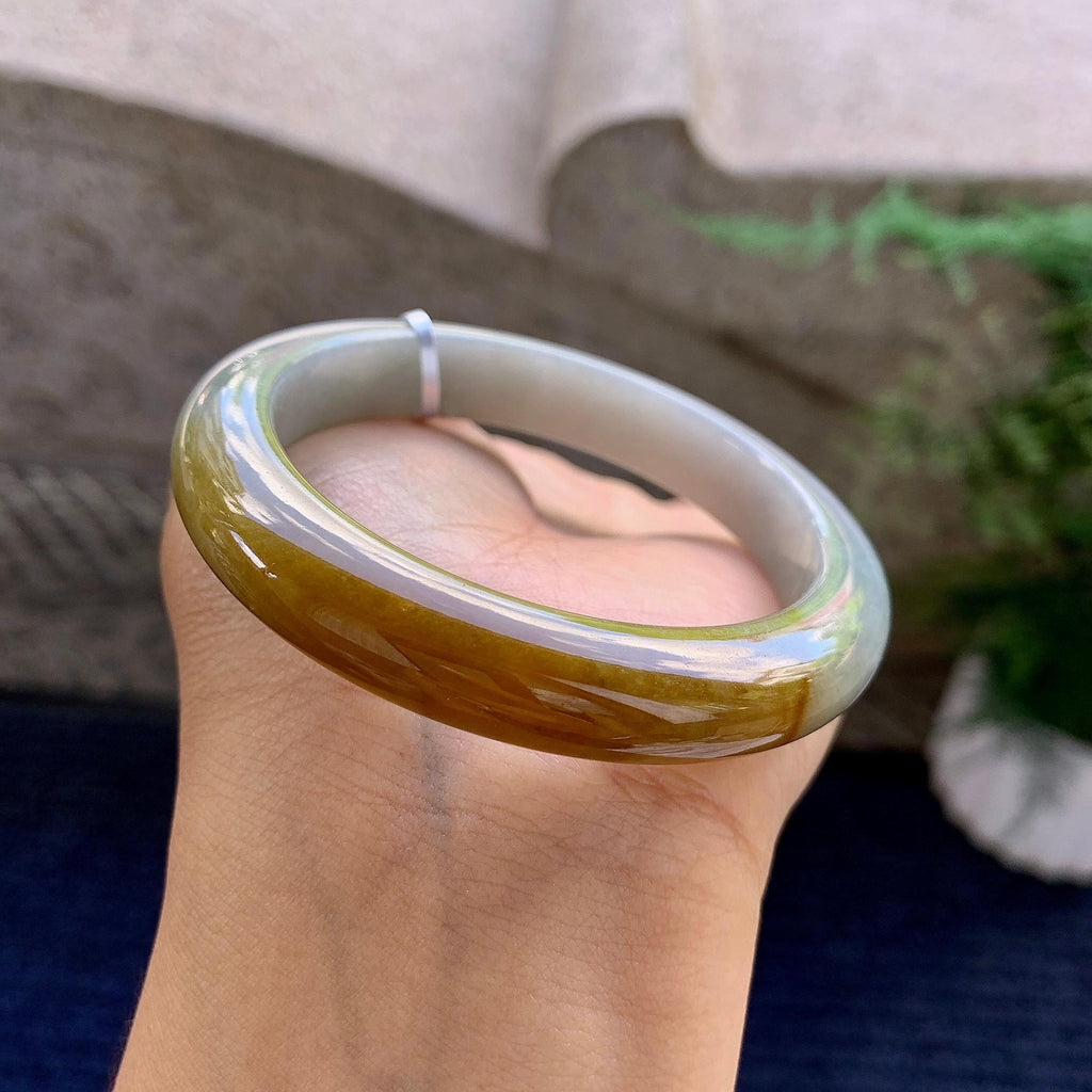 糯种黄翡平安镯（53.7mm）（yc223952）
