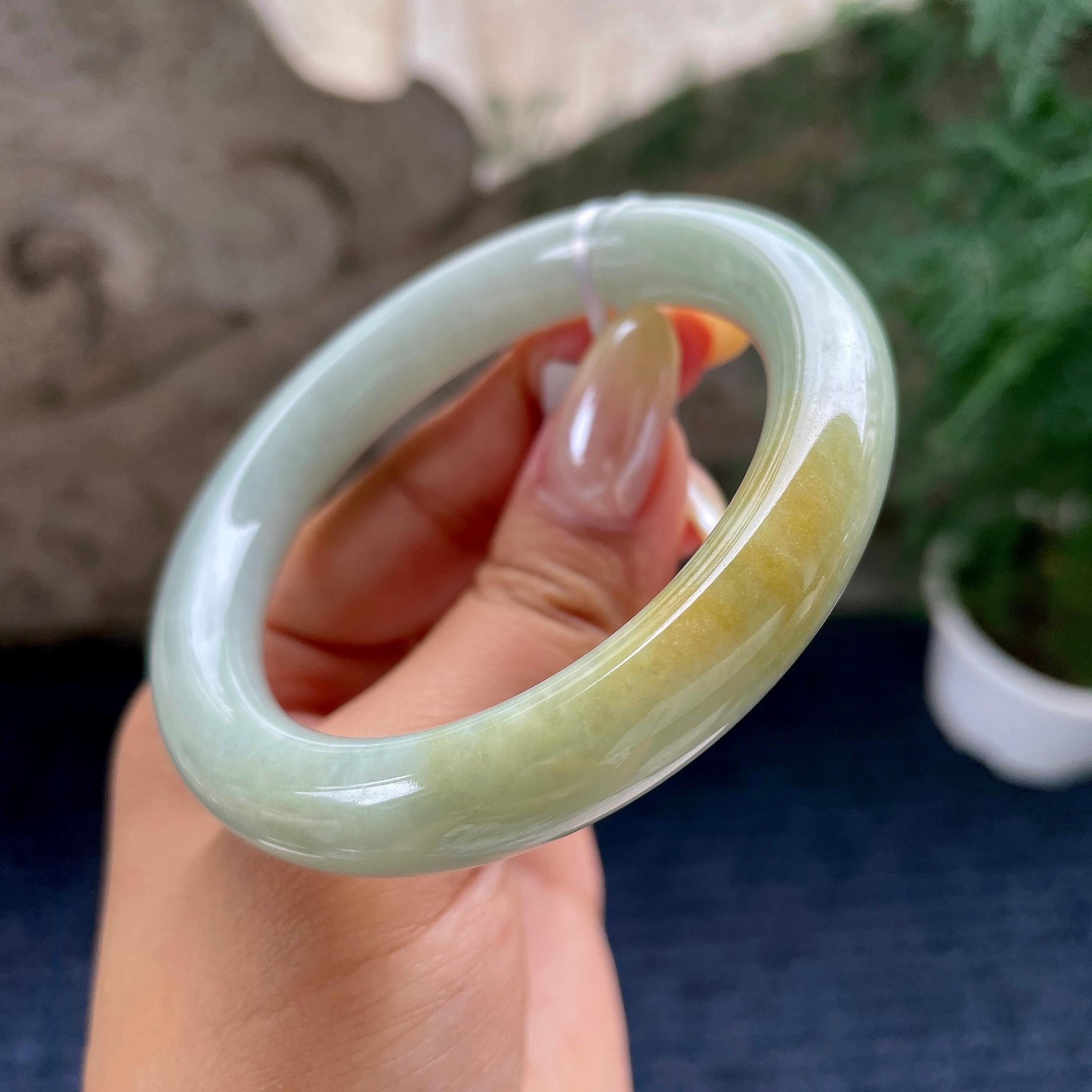 细糯种飘黄翡圆条手镯55.8圈 天然缅甸A货翡翠（yc464111）