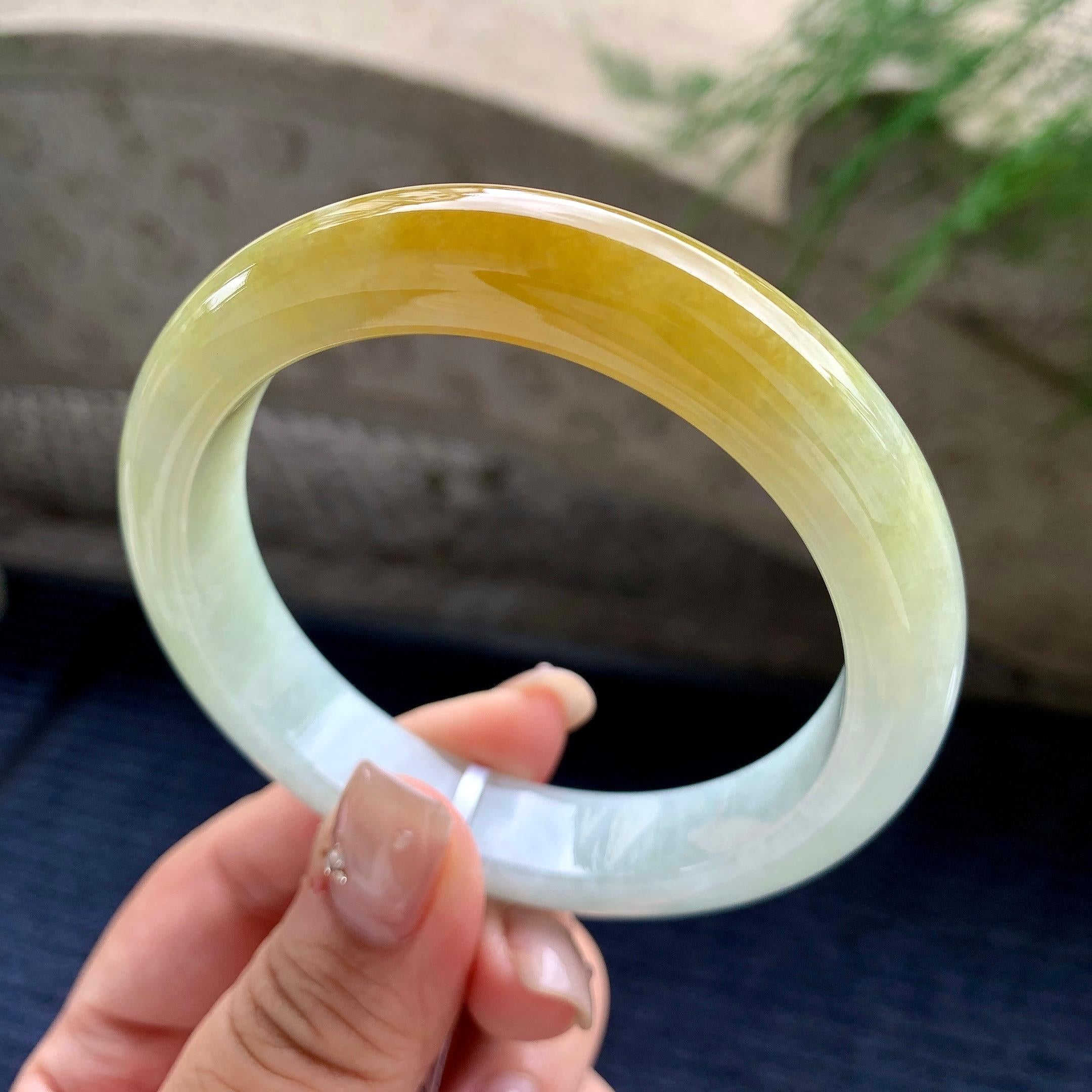 细糯种黄翡正圈平安镯 59圈口 天然缅甸A货翡翠（yc464088）