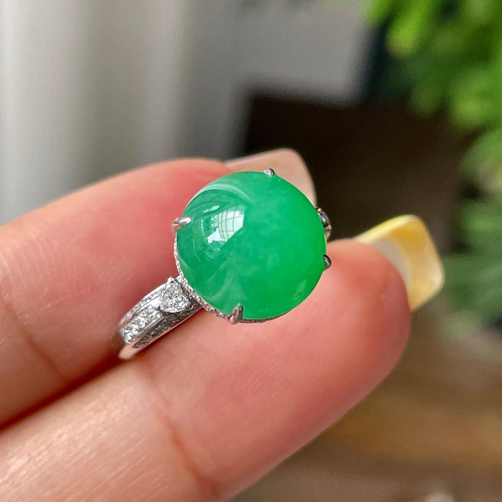 18k金钻镶细糯种满绿蛋面戒指        天然缅甸A货翡翠（yc379964）