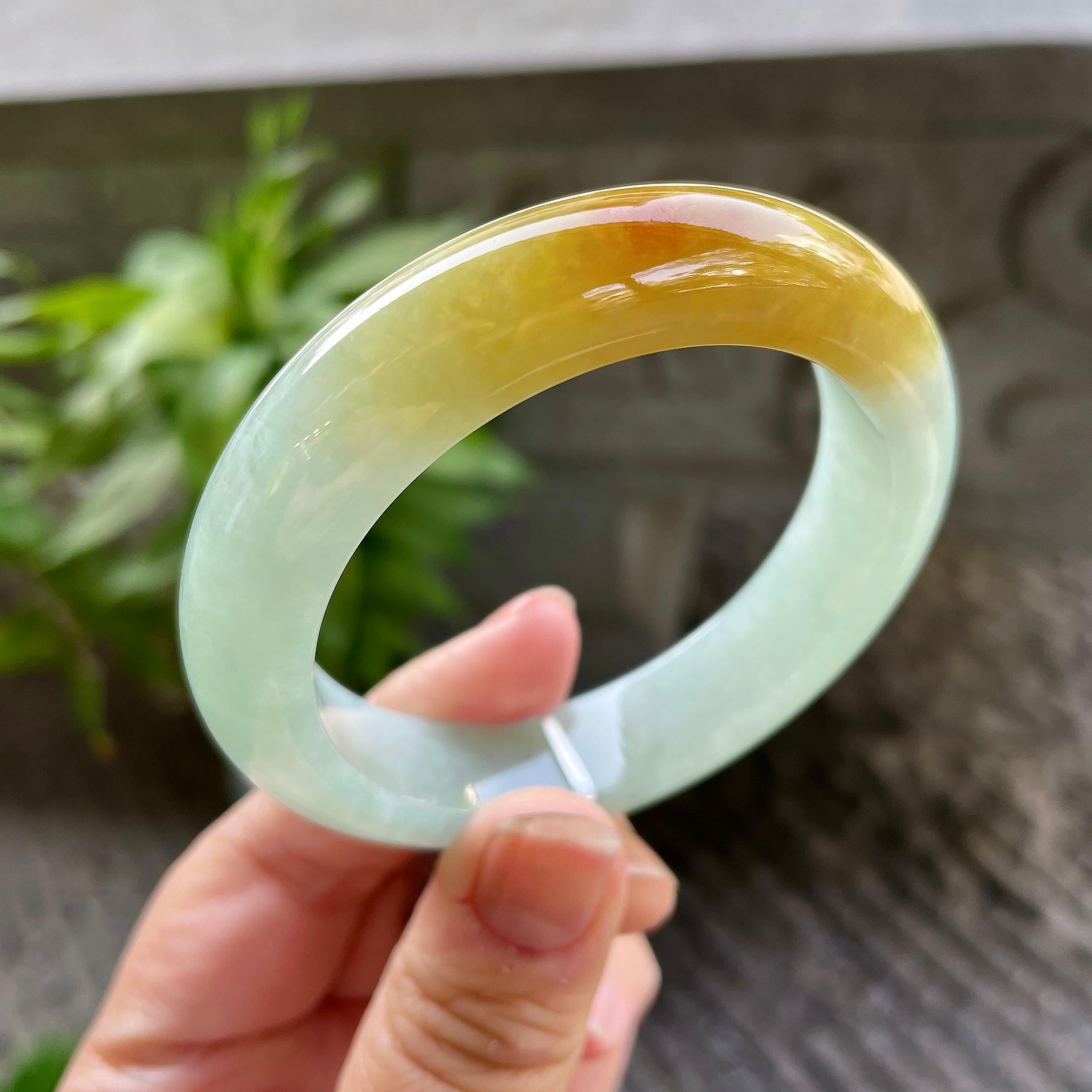 细糯种黄翡正圈平安镯53圈口 天然缅甸A货翡翠（yc320313）