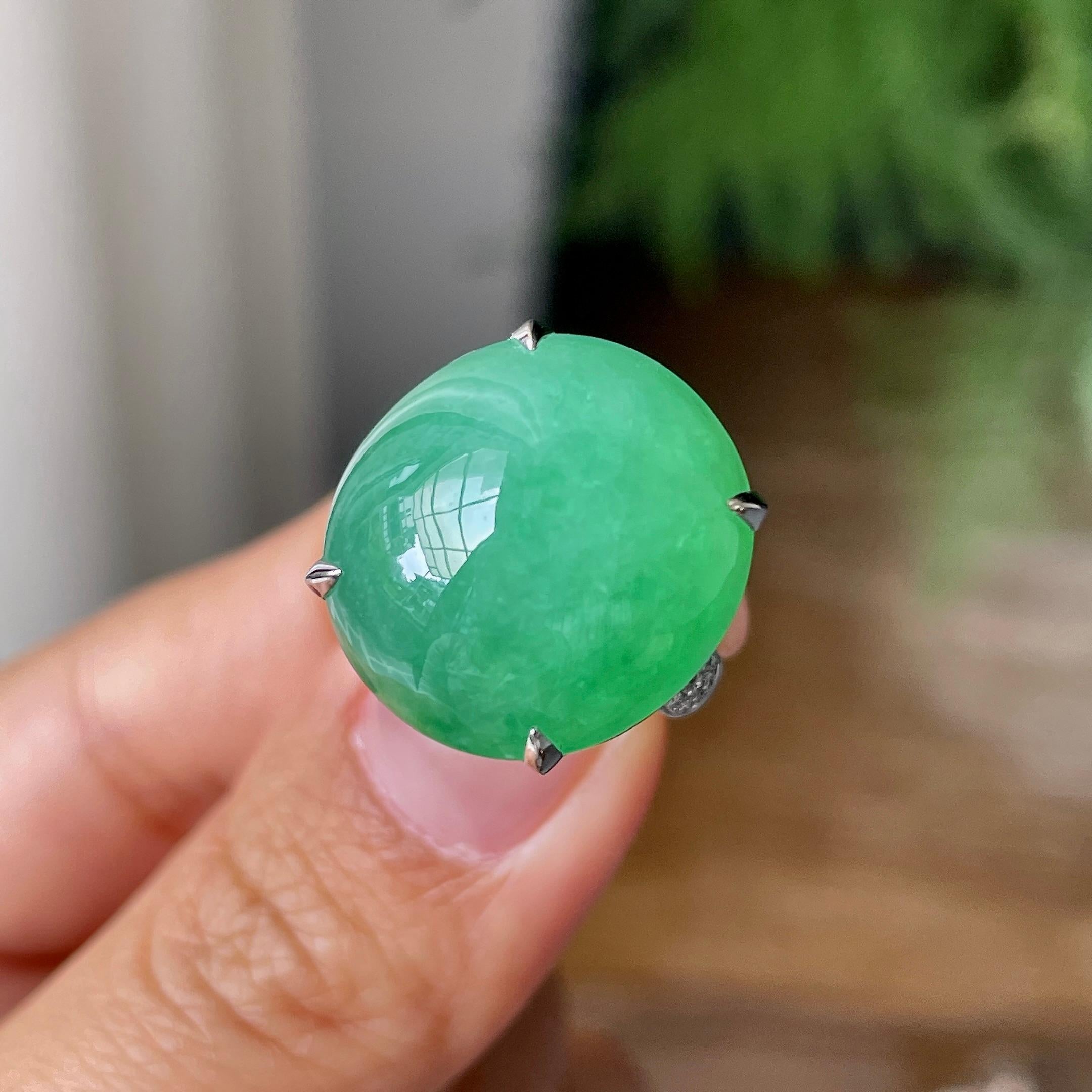 18k金镶细糯种翠绿蛋面戒指    天然缅甸A货翡翠（yc362065）