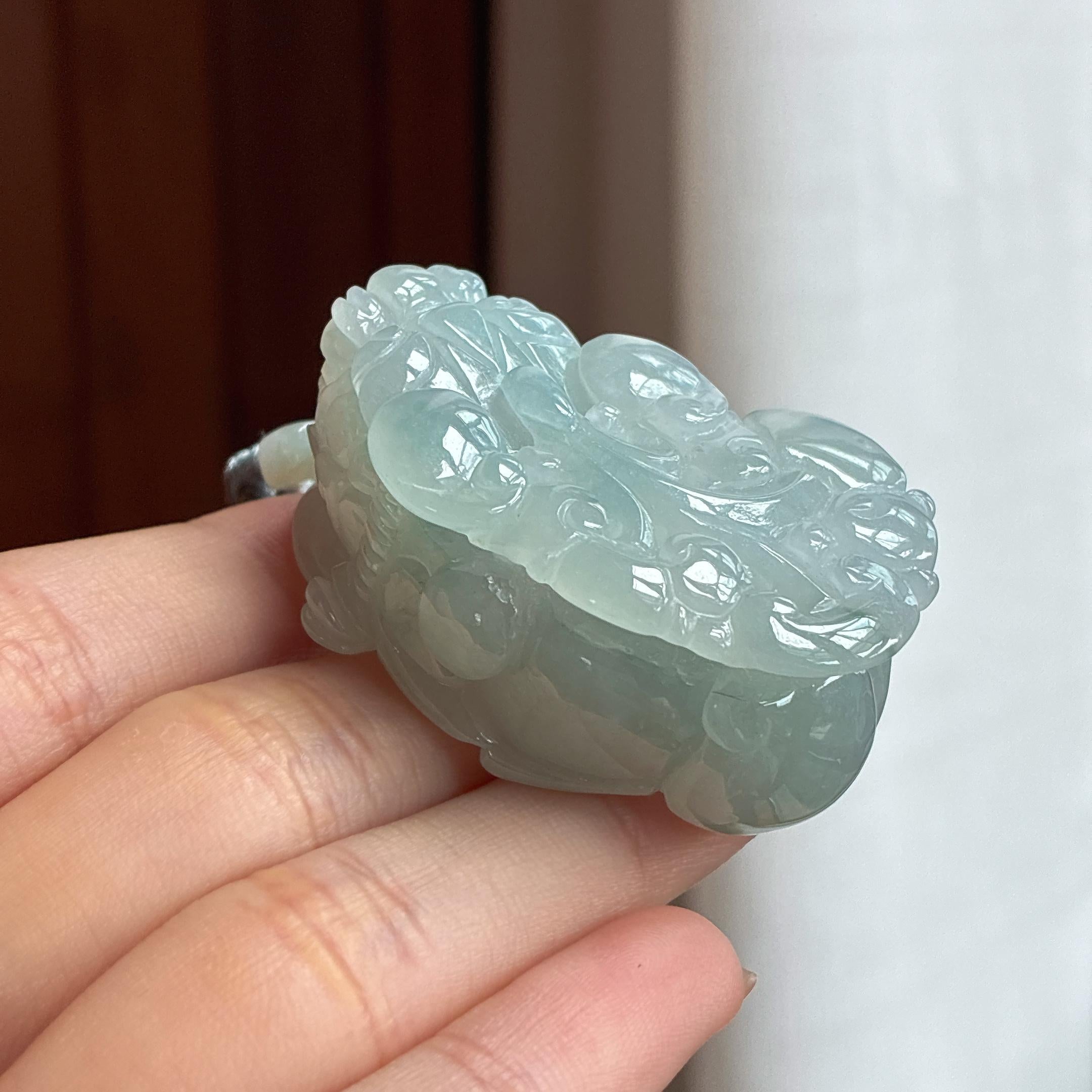 细糯种淡底色貔貅 天然缅甸A货翡翠（yc453150）