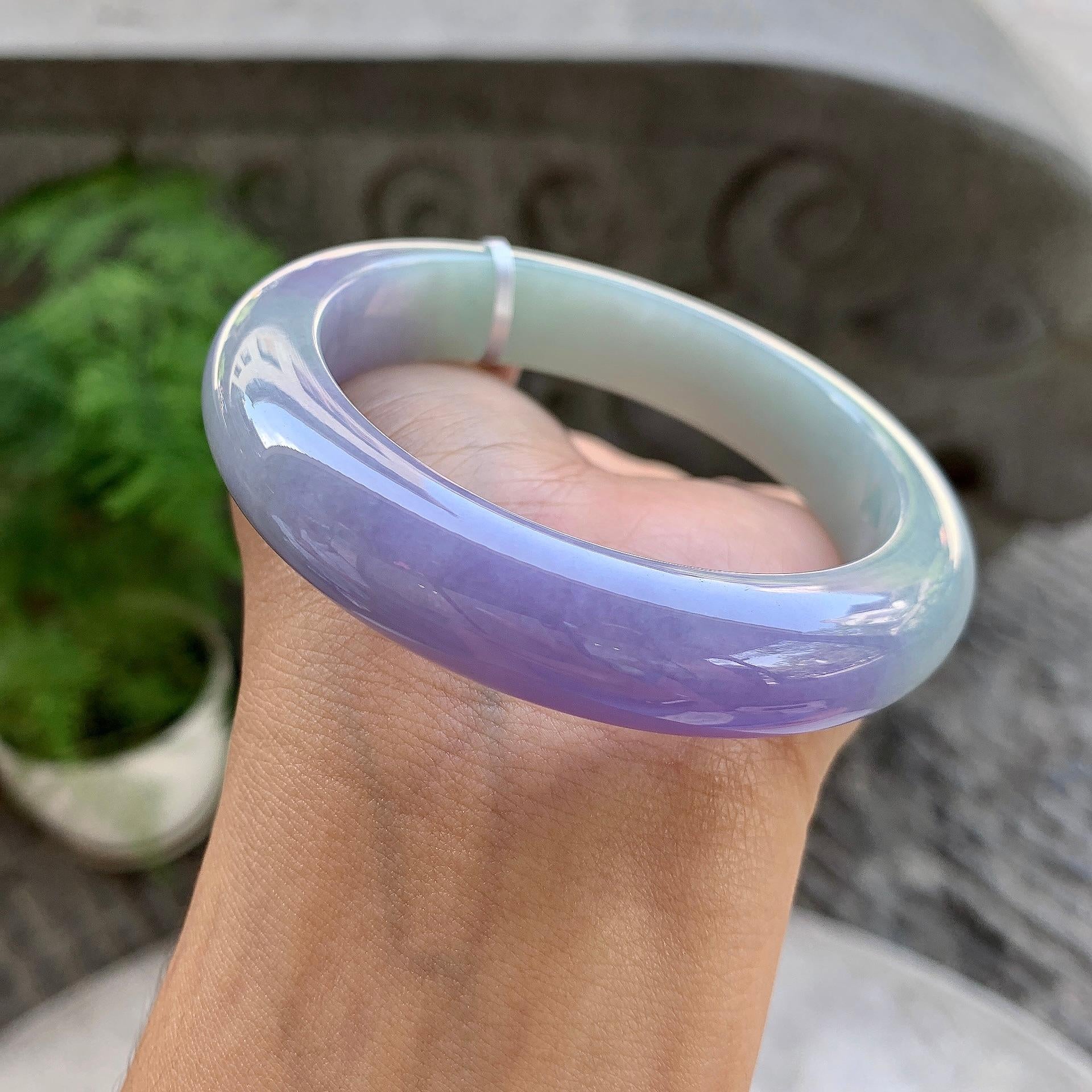 细糯种春彩平安镯（56.8mm）（yc199563）