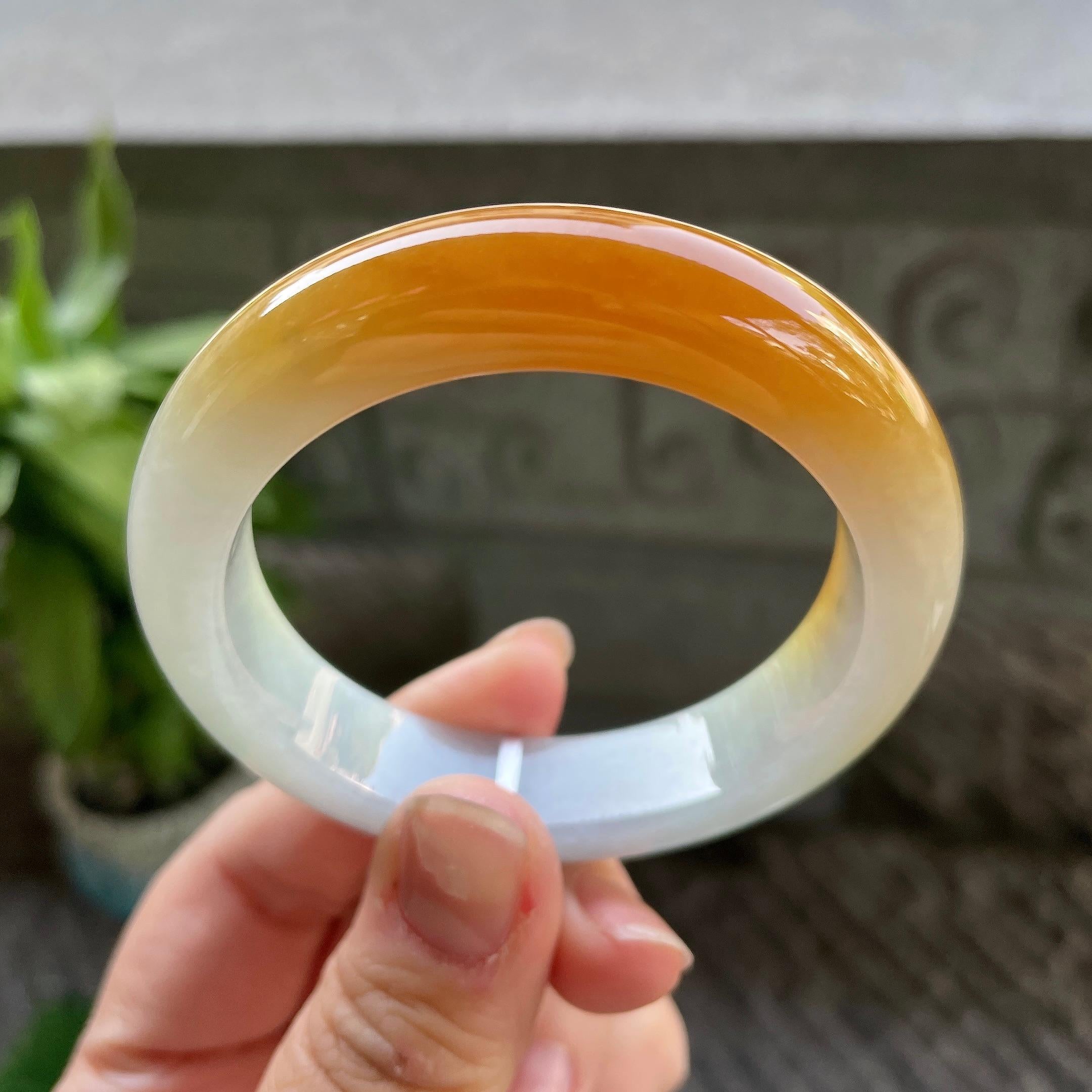 细糯种黄翡平安镯（51mm）（yc310092）
