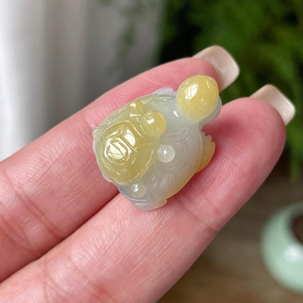 细糯种飘黄翡长寿龟吊坠 天然缅甸A货翡翠（yc469505）