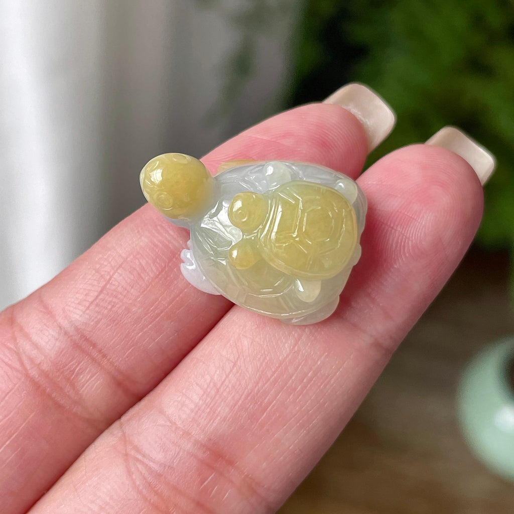 细糯种飘黄翡长寿龟吊坠 天然缅甸A货翡翠（yc469505）