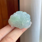 糯冰带色翡翠貔貅（yc269027）