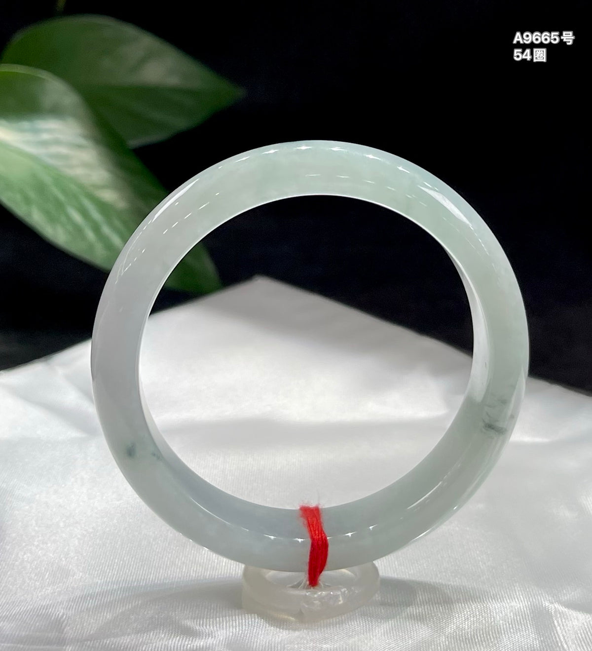 ️小价位福利 ️53、54｜ 糯冰飘花平安镯A9665号 编号：2205093-9002-C19-13 具体尺寸：54-13-7.5（wg0061519）